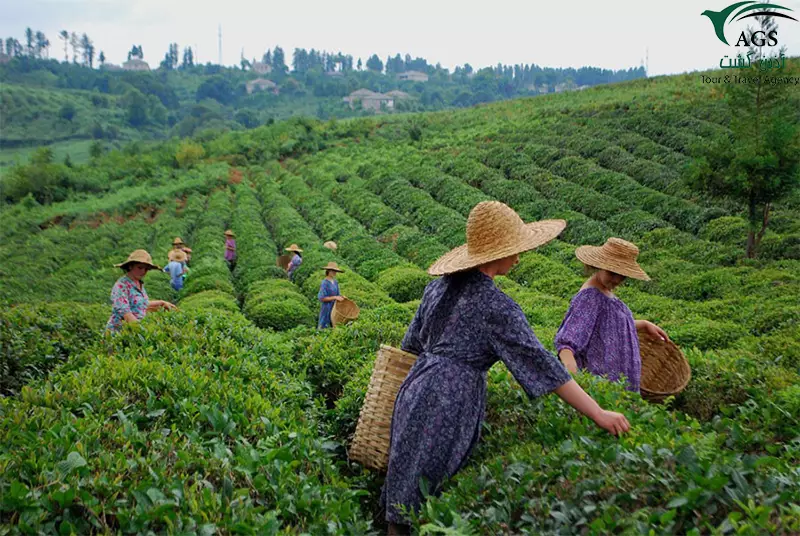 سوغات گرجستان سوغات گرجستان